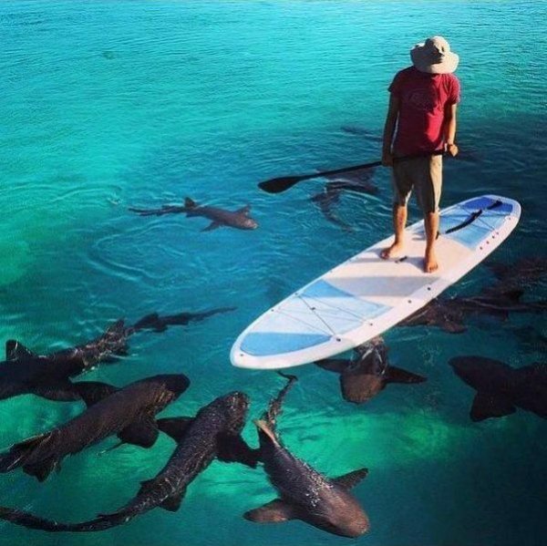 Летняя Фотоподборка #1