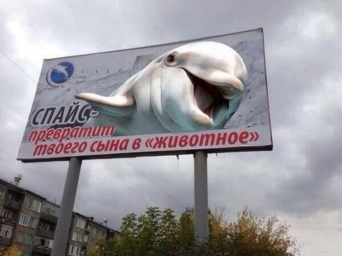 Повседневные маразмы