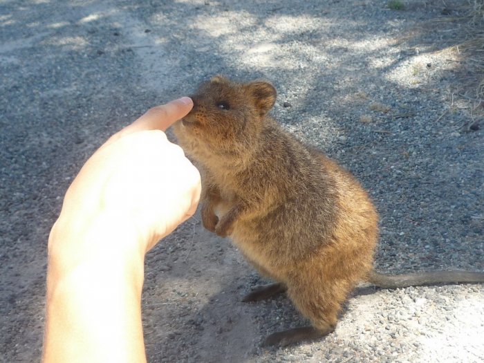 Летняя Фотоподборка #3